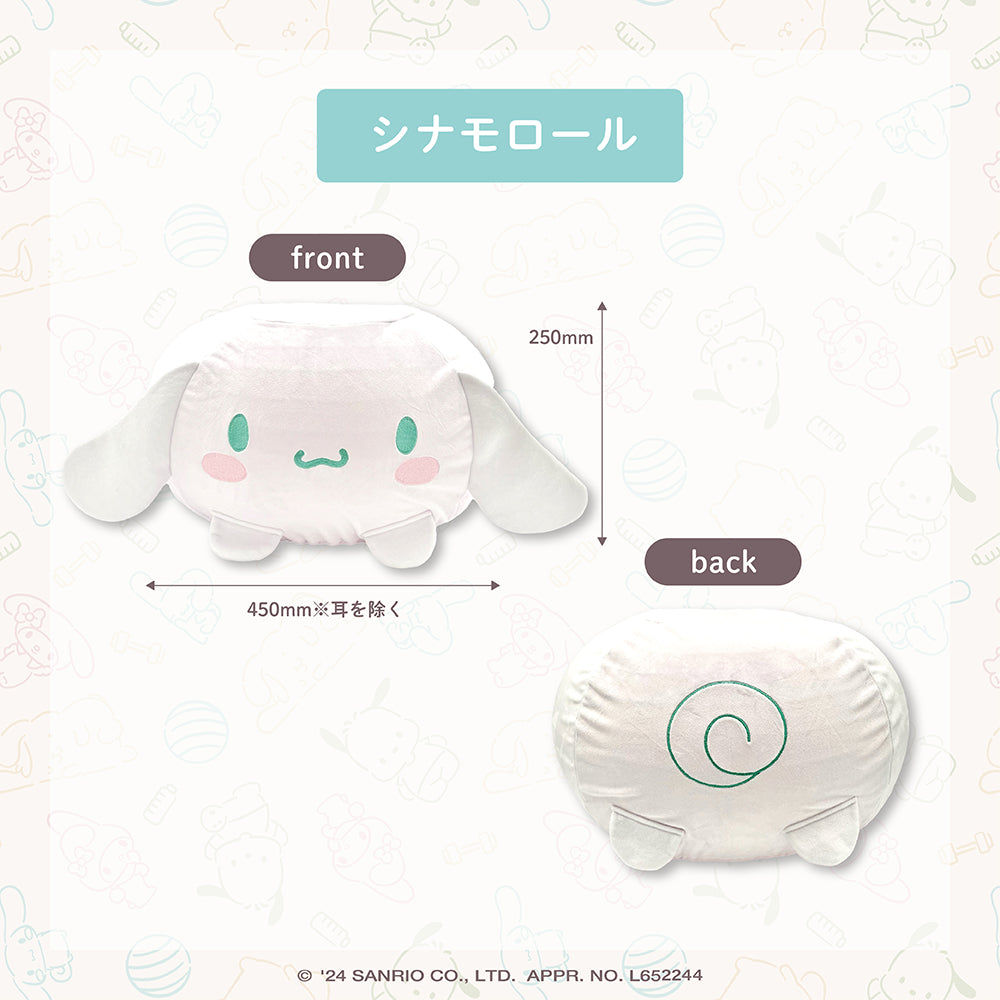 カバー付きバランスボール – HUNET MALL