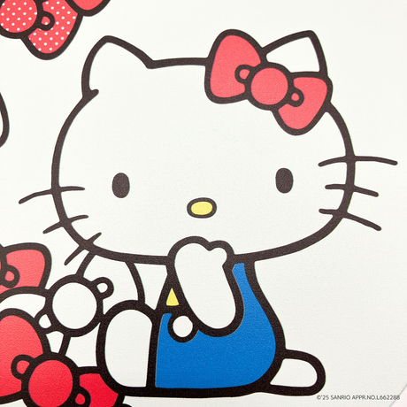 ハローキティ　ピックルボールセット