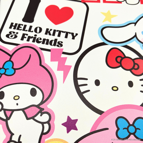 サンリオキャラクターズ　ピックルボールセット